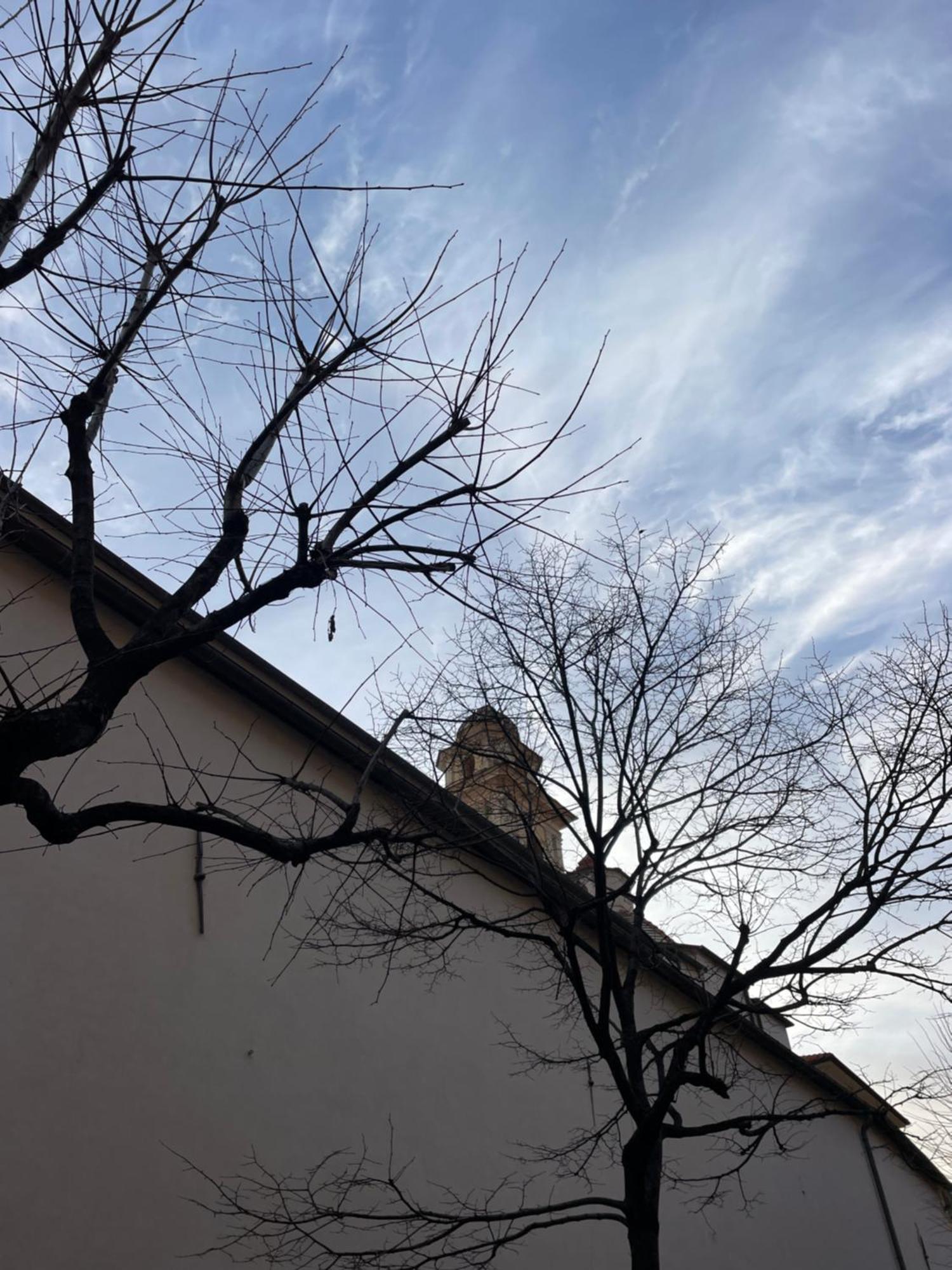 Casa Del Cardinale Διαμέρισμα Santo Stefano al Mare Εξωτερικό φωτογραφία