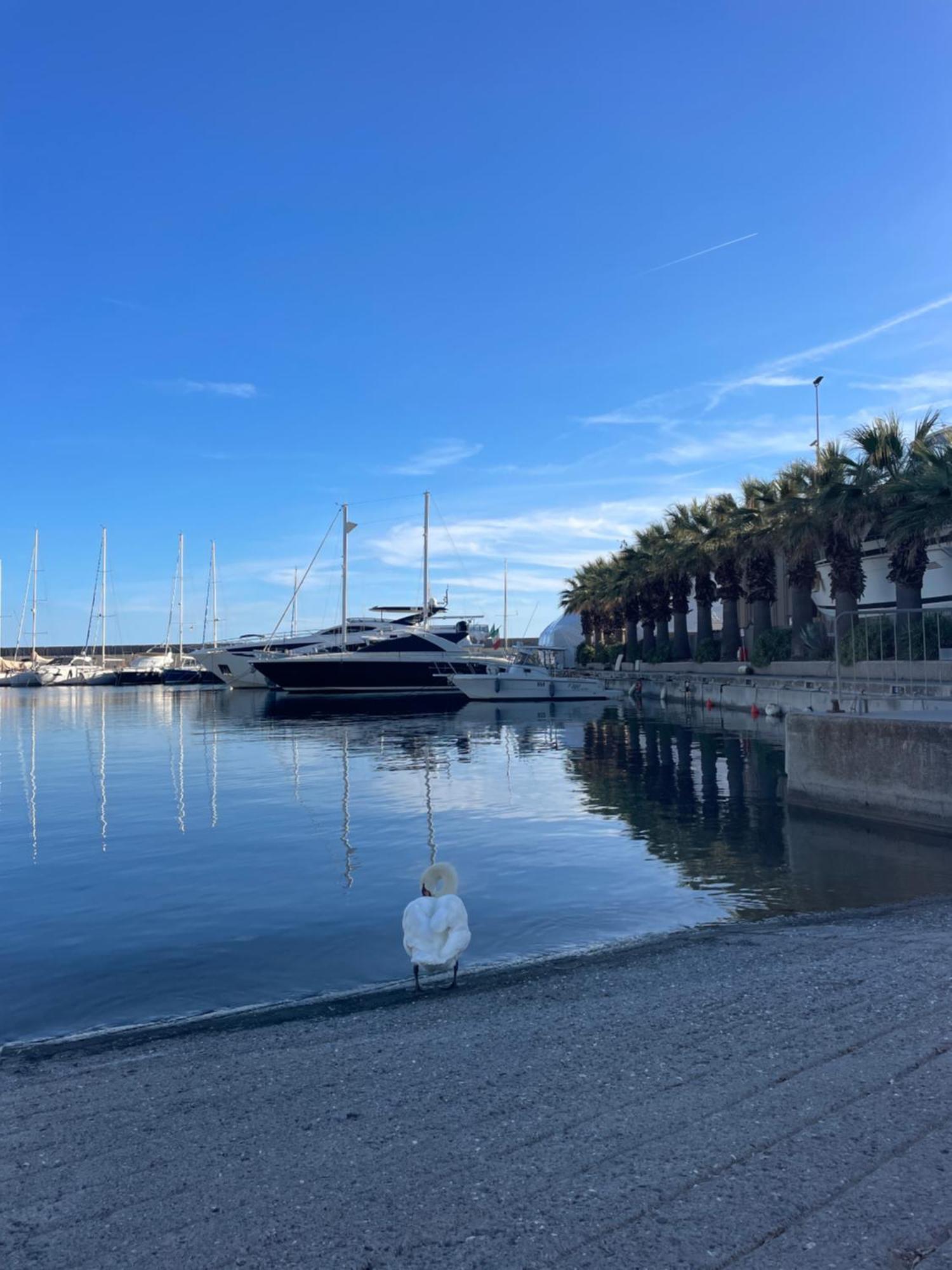 Casa Del Cardinale Διαμέρισμα Santo Stefano al Mare Εξωτερικό φωτογραφία