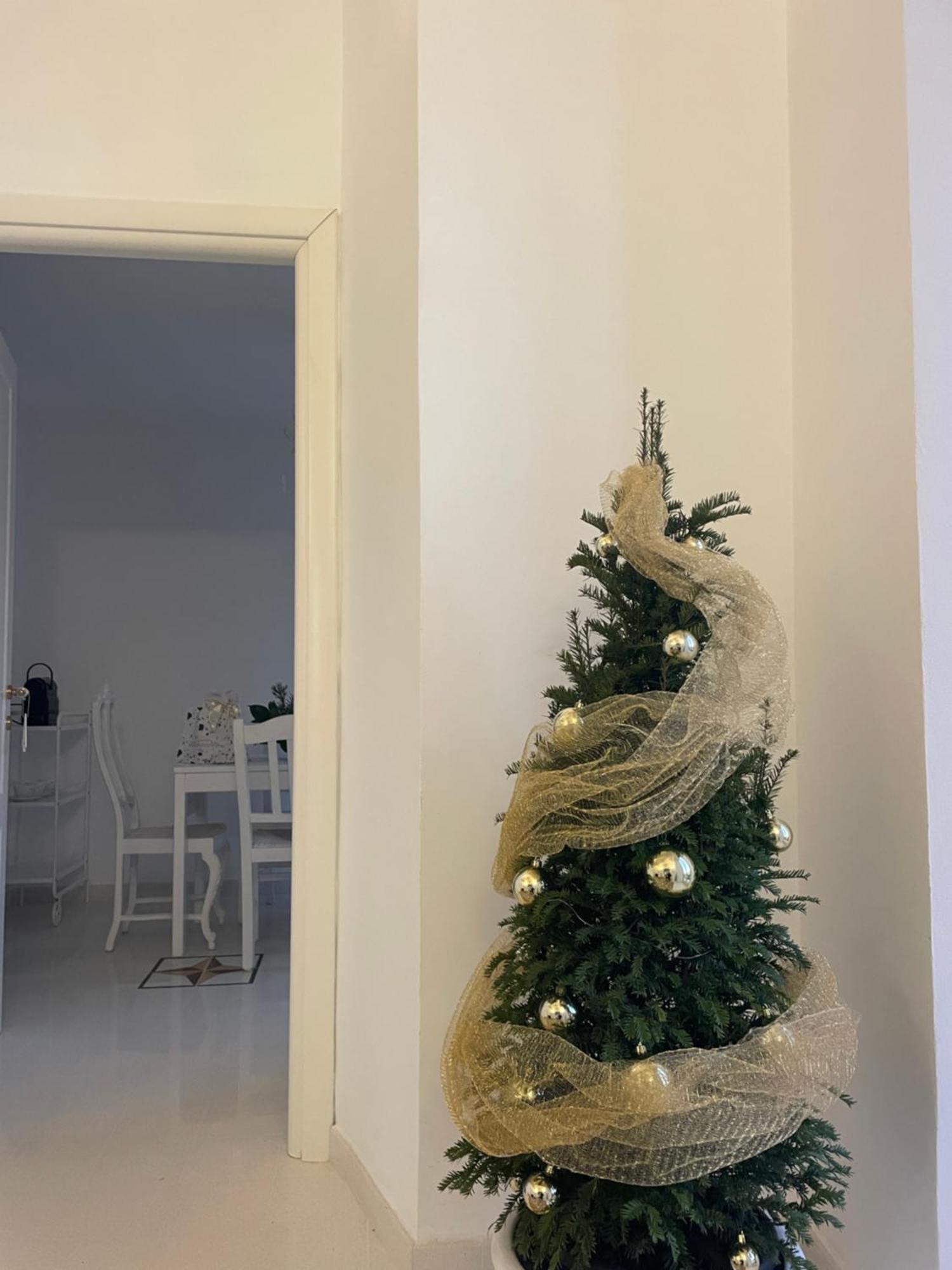 Casa Del Cardinale Διαμέρισμα Santo Stefano al Mare Εξωτερικό φωτογραφία